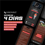 Plan de Entrenamiento - 4 días