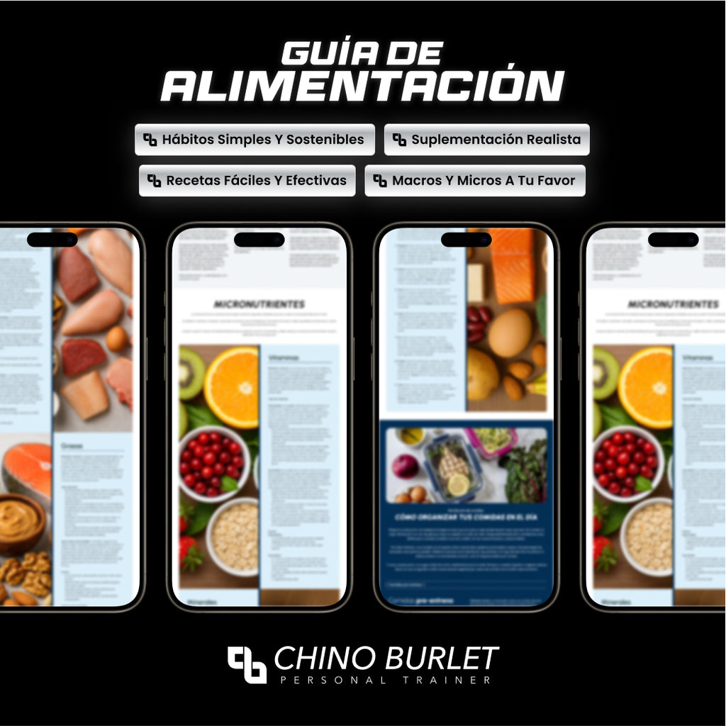 Guía de Alimentación